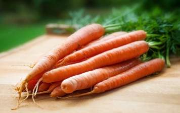 Organic Carrots from Geneva