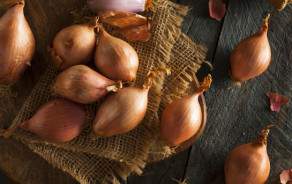 Shallots