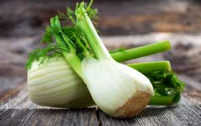 Organic Fennel from Geneva