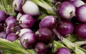 Red Onions BIO from Geneva