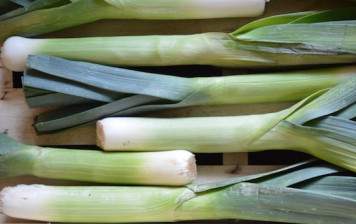 Organic leeks (2 pieces)