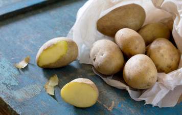 Pommes de terre Agria GRTA