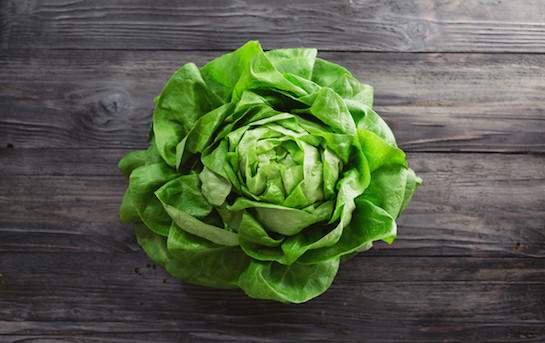 Organic oak leaf lettuce from Geneva