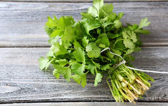 Coriander