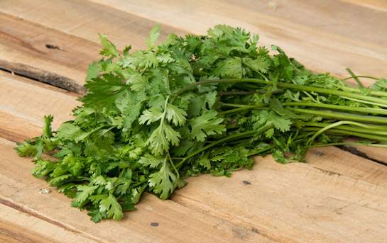 Flat-leaf parsley (Swiss)