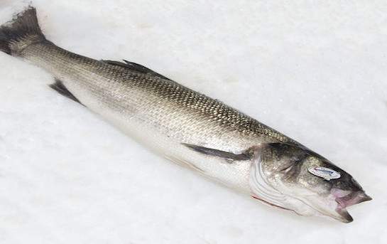 Poisson entier Bar sauvage écaillé et vidé