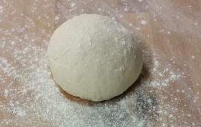 Pizza dough from BIO flour