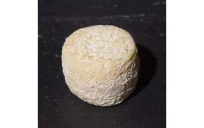 Crottin de Chèvre Chavignole