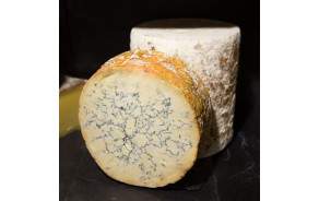 Stilton Colston Bassett