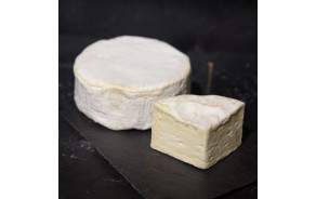 Brillat Savarin de Hervé Mons