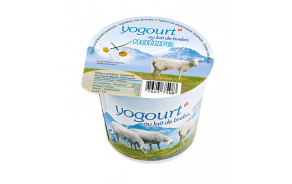 Yogourt au lait de brebis nature